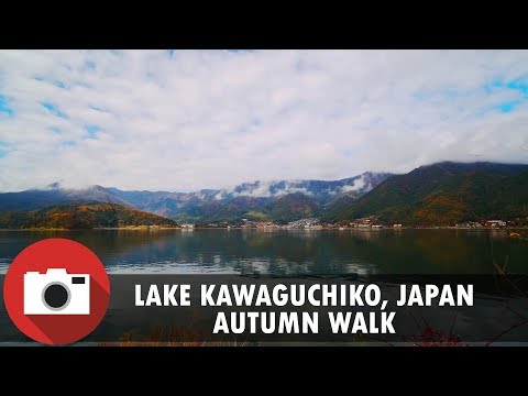 Autumn Walk Around Lake Kawaguchiko (Near MT. Fuji) Japan - 4K 60FPS