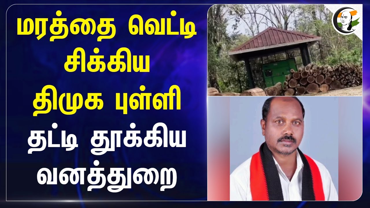 மரத்தை வெட்டி சிக்கிய DMK புள்ளி.. தட்டி தூக்கிய வனத்துறை.. | Forest | Nilgiris