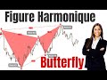 Identify Gartley 222 and Butterfly Patterns using ...