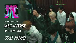 Megaverse by Stray Kids | One Hour Loop | Grugroove🎶