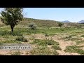 دیدنی های اطراف شیراز در زیبایی و شکوه سرآمد تمام مناطق طبیعی هستند 