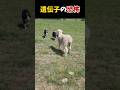 生後間もないのに本能のバグが凄すぎる件ｗｗ