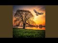 Willow's Wings