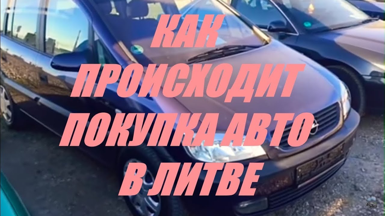Покупка авто у лисы Покупка авто у лисы