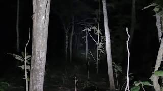 Penelusuran Makam Sutanangga
