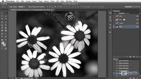 Photoshop CS6 102: Selection  Masking Techniques - 36. Alpha Channel Overview