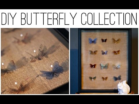 DIY Vintage Butterfly Collection - YouTube