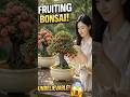 This Trick Makes Cherry Trees Product More Fruits! 🍒 #bonsai