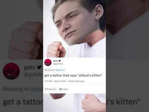 please DO NOT follow my TWITCH for THIS REASON!