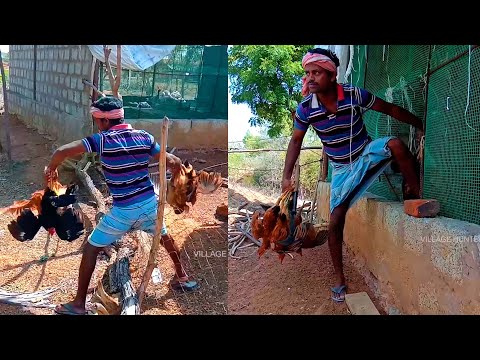 Villageman Find Country Chicken With Liver and Parts Cooking Eating Deliciious in Village Hunter