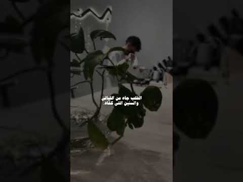 تصميم شيلات لا تبتعد وتحط فيه الجرح تصميم شيلات حزينة