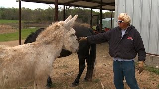 Jimmy Houston's Oklahoma Ranch