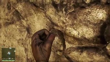 Far Cry 4. Invisible gun glitch