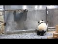 娘・結浜を励ます永明パパ🐼
