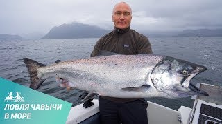 Ловля чавычи в море на Аляске