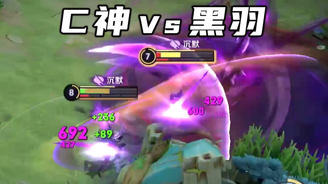 【国服单挑】单杀我3次？不愧是天花板级别的司马懿！