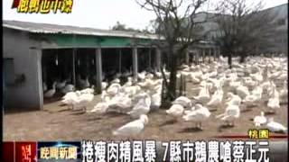 20120316 捲瘦肉精風暴 7縣市鵝農嗆蔡正元　三立新聞