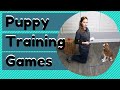 Puppy Training Games