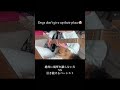 ㊗️15万再生🙇羽鳥慎一モーニングショーで流れた動画 #shorts #shortsvideo #スラップ
