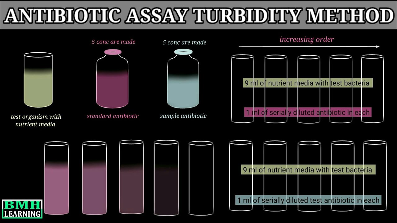 Microbial Assay Of Antibiotics Antibiotic Sensitivity Test By