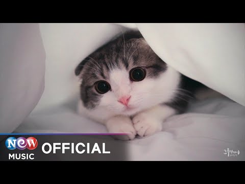 [MV] It's humming (이츠허밍) - Meow meow (반대로냥)