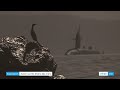 Ref:2v7MXf5UMhQ Toulon : le mus�e national de la marine expose les titans des mers