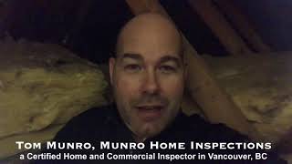Attic Mold - Townhouse Inspection