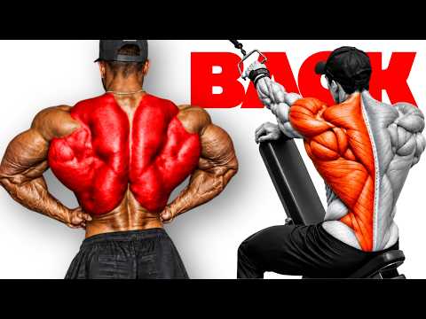 6 Melhores Exercícios TREINO de COSTAS, POSTERIOR DE OMBRO e TRÁPEZIO Completo