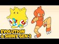 Pokemon evolution full generation 2 animation  shiny