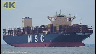 MSC THAIS - Shipspotting Germany 🇩🇪 IMO 9957347 - River Elbe near City Otterndorf - 4K VIDEO