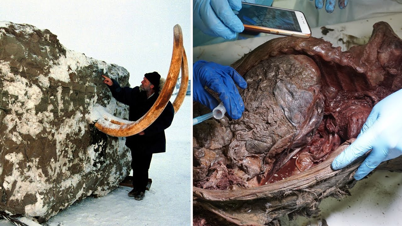 9 Prehistoric Creatures Found in the Ice | Documentary