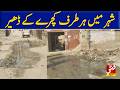 Failure of municipal committee officers, piles of garbage in the city | Vsh News
