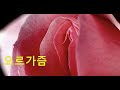 여성 오르가즘(female orgasm) 총정리, 성감대, 불감증, 음핵오르가즘, 여성전립선, G스팟, 여성사정, 질성형/성치료특화 클리닉 이쁜여성의원 신봉규원장 영상강의