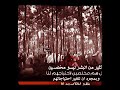 كثير من البشر ليسو مخلصين بل هم مخلصين لاحتياجهم لنا 