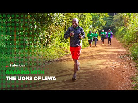 Safaricom Newsroom Roaring With The Lions Of Lewa SafaricomNews