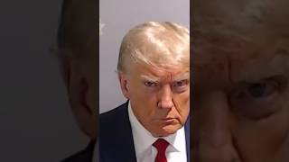 Donald Trump’s mugshot released