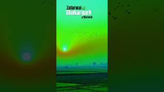 Zafarwal, Shakargarh, Narowal🦅🌿 #shakargarh #narowal#zafarwal#pind#life