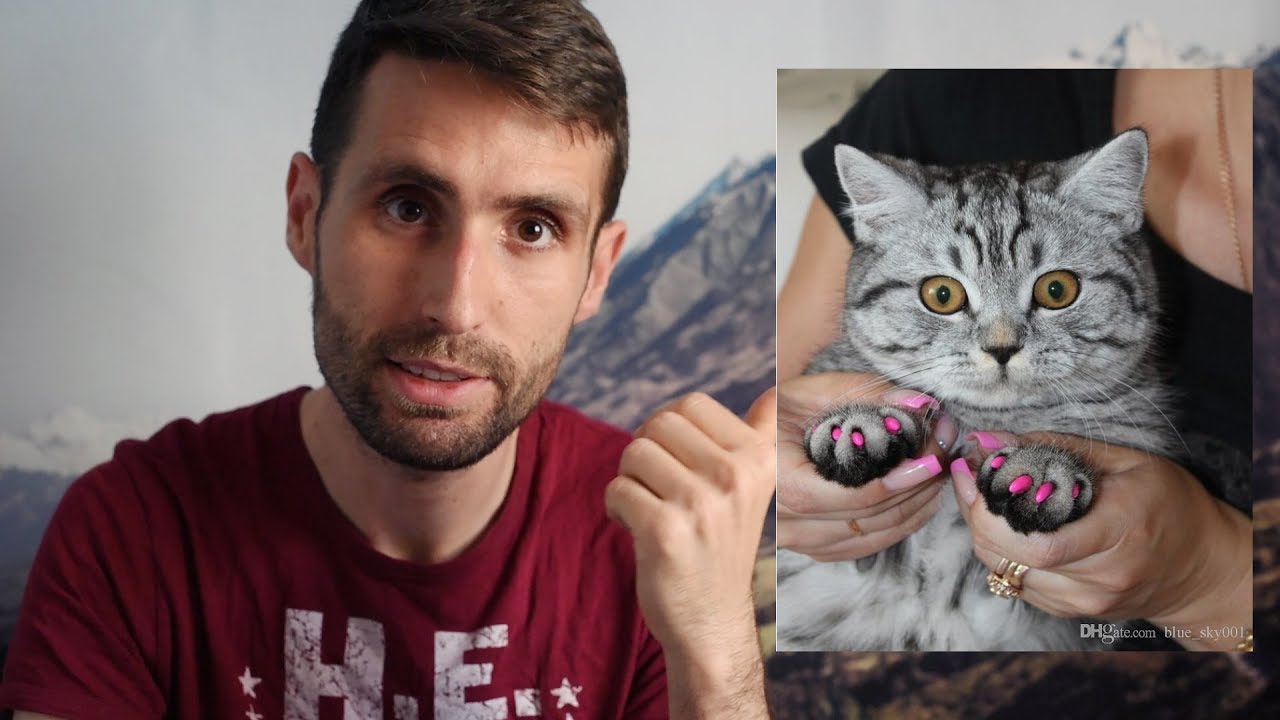Fundas de goma para las uñas de gato o - YouTube