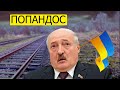 Лукашенко не ожидал таких последствий от Украины / новости Данута Хлусня