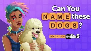 Take your BRAIN for a WALK in this Words With Friends 2 Vocabulary Builder!