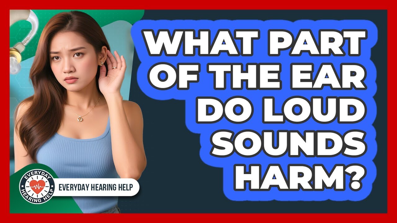 What Part Of The Ear Do Loud Sounds Harm?