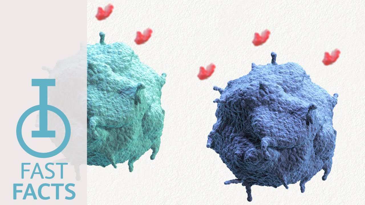 IOU YouTube: Can T cells migrate throughout the body?