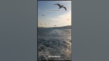 What if 🌒🌓 #whatif #facts #curiosity #viral #shorts