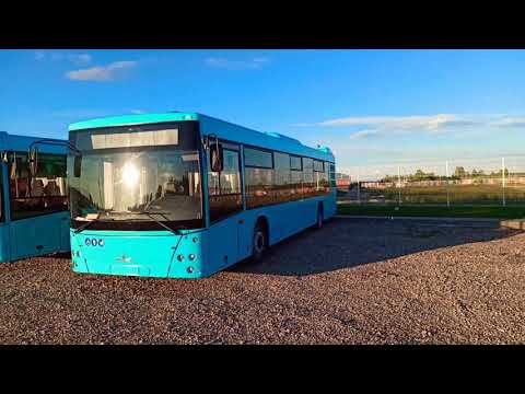 МАЗ-203 для Санкт-Петербурга