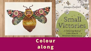 Colour along in Johanna Basford Small Victories ~ Bumblebee