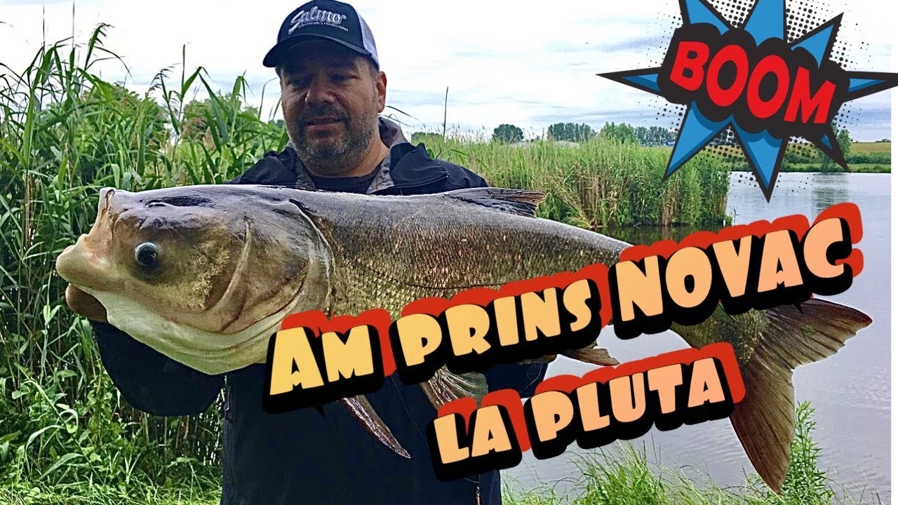 Pescuit NOVAC la pluta