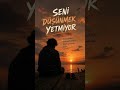 🎧 Seni Düşünmek Yetmiyor… 💔 | Duygusal Gece Şarkısı #serde #hayalmezarlığı #keşfet #music #viral