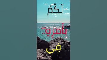 تلاوة عطرة للشيخ المنشاوي #المصحف #shortvideos #viral #viralvideo #viralvideos #اكسبلور #لايك #fyp