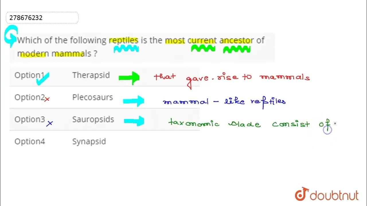 Which of the following reptiles is the most current ancestor of modern