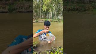 Unbelievable technique 5 litter plastic bottle hook trap fishing method#plastic_fishing#fish#shorts